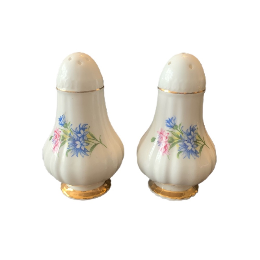 Vintage Paragon Bone China Salt & Pepper Shakers Floral Pattern Classic Style